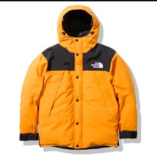 ザノースフェイス(THE NORTH FACE)のTHE NORTH FACE ザ ノースフェイス ND91930 マウンテン　L(ダウンジャケット)