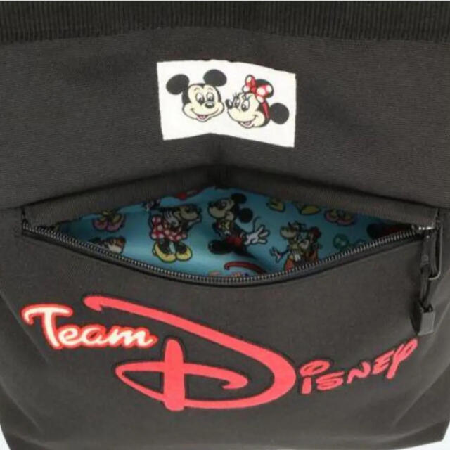 ディズニーリゾート　リュック　teamDisney 2way