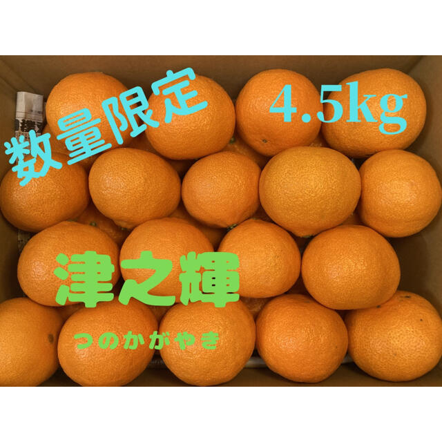 みかん　つのかがやき　4.5kg　佐賀県　唐津産　ミカン 食品/飲料/酒の食品(フルーツ)の商品写真