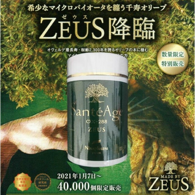 数量限定品!ニナファーム ゼウス サンテアージュOX288 ☆ 1本!の通販