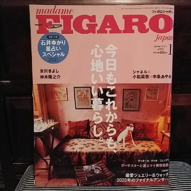 madame FIGARO japon (フィガロ ジャポン) 2021年 01 エンタメ/ホビーの雑誌(その他)の商品写真