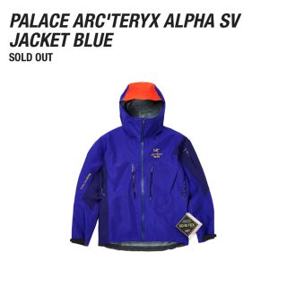 アークテリクス(ARC'TERYX)のArcteryx Palace alpha sv アークテリクス パレス S(マウンテンパーカー)