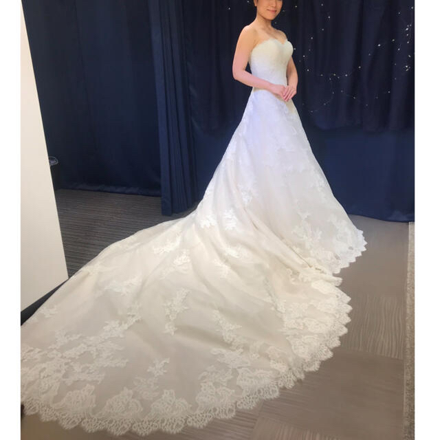 Vera Wang(ヴェラウォン)のPronovias プロノビアス ウエディングドレス NEREID2020 レディースのフォーマル/ドレス(ウェディングドレス)の商品写真