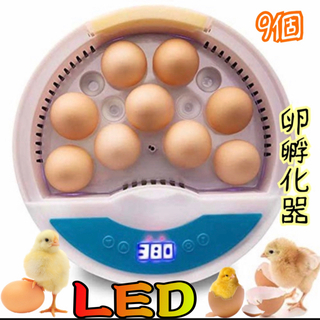 自動孵卵器 インキュベーター 検卵ライト内蔵鳥類専用ふ卵器 孵化器 9個入(鳥)