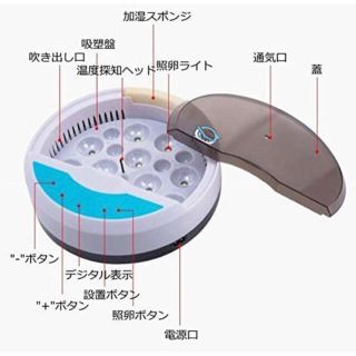 自動孵卵器 インキュベーター 検卵ライト内蔵鳥類専用ふ卵器 孵化器 9個入