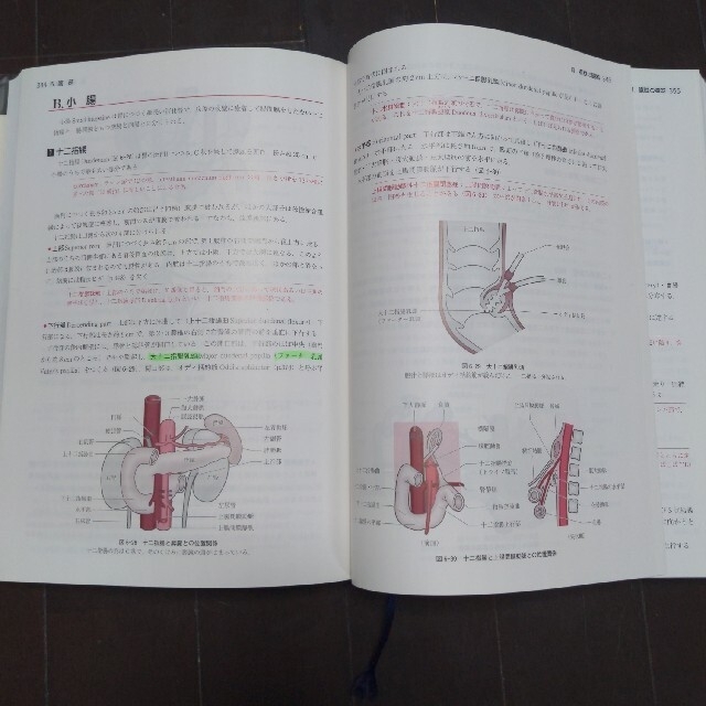 解剖学講義 改訂３版　高野廣 エンタメ/ホビーの本(健康/医学)の商品写真