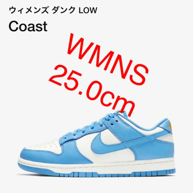 NIKE DUNK LOW COAST ダンク ロー コースト 水色