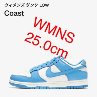 ナイキ(NIKE)のNIKE DUNK LOW COAST ダンク ロー コースト 水色(スニーカー)