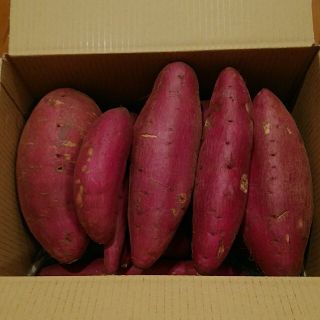 ⑩　千葉県産　シルクスイート　さつまいも　サツマイモ　約6.3㎏(野菜)