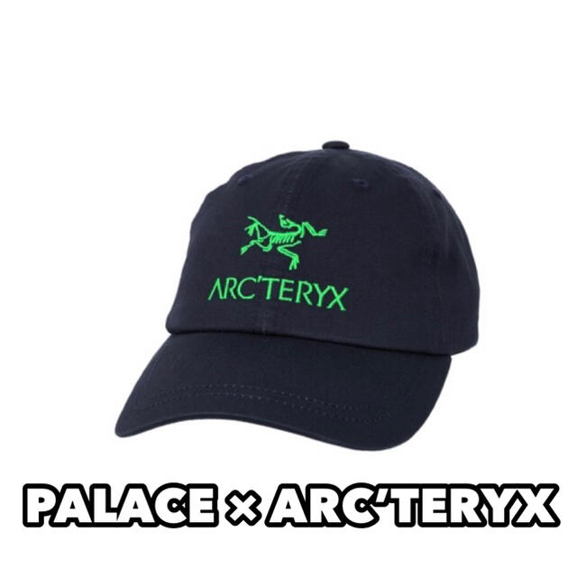 PALACE × ARC’TERYX パレス アークテリクス