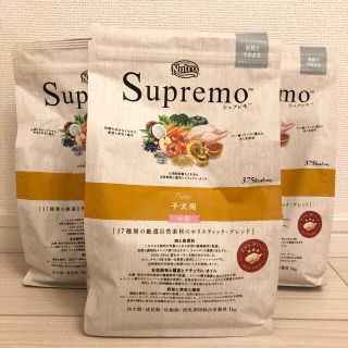 マース(MARS)のNUTRO Supremo 子犬用ナチュラルフード 1kg 3セット(ペットフード)