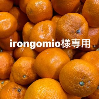 irongomio様専用(フルーツ)