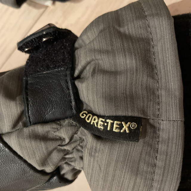 Dakine(ダカイン)のDAKINE ゴアテックス グローブ　Gore-Tex スポーツ/アウトドアのスノーボード(ウエア/装備)の商品写真