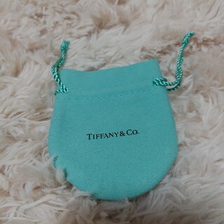 ティファニー(Tiffany & Co.)のTIFFANY　アクセサリー入れ(その他)