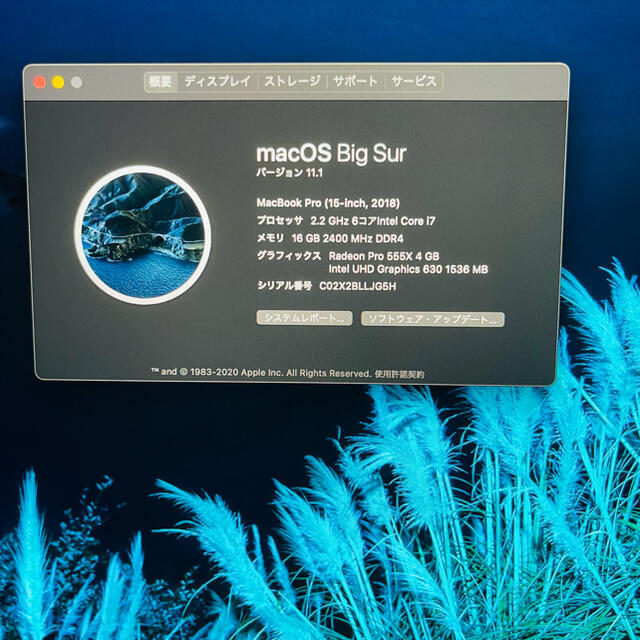 MacBookpro15inch2018 i7 RADEONpro555x4GB