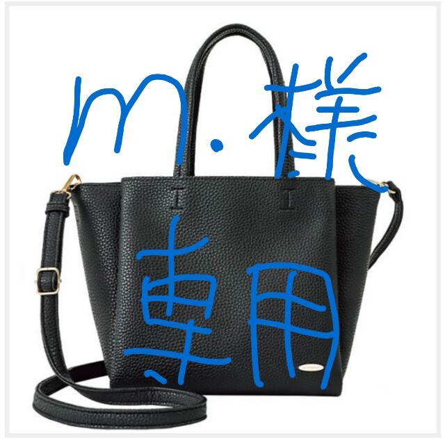 AG by aquagirl(エージーバイアクアガール)の【専用】AG by aquagirl3 Room Bag ムック本 付録 レディースのバッグ(ショルダーバッグ)の商品写真