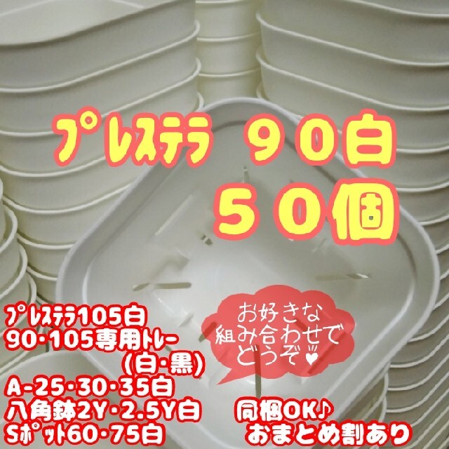 スリット鉢】プレステラ90白50個 多肉植物 プラ鉢 - フラワー/ガーデン
