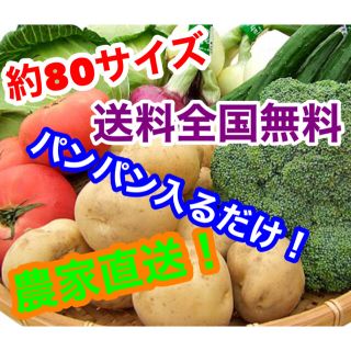 約80サイズ農家直送野菜詰め合わせパンパン入るだけ！限定セール中！(野菜)