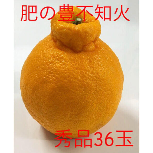 肥の豊 ハウス不知火36玉(熊本県産)即購入ok - フルーツ