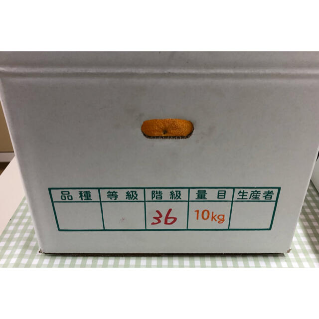 肥の豊 ハウス不知火36玉(熊本県産)即購入ok - フルーツ