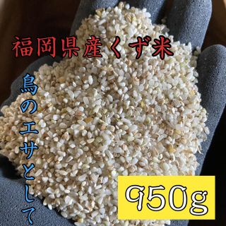 くず米 950g 米・雑穀 鳥の餌 飼料 肥料(米/穀物)