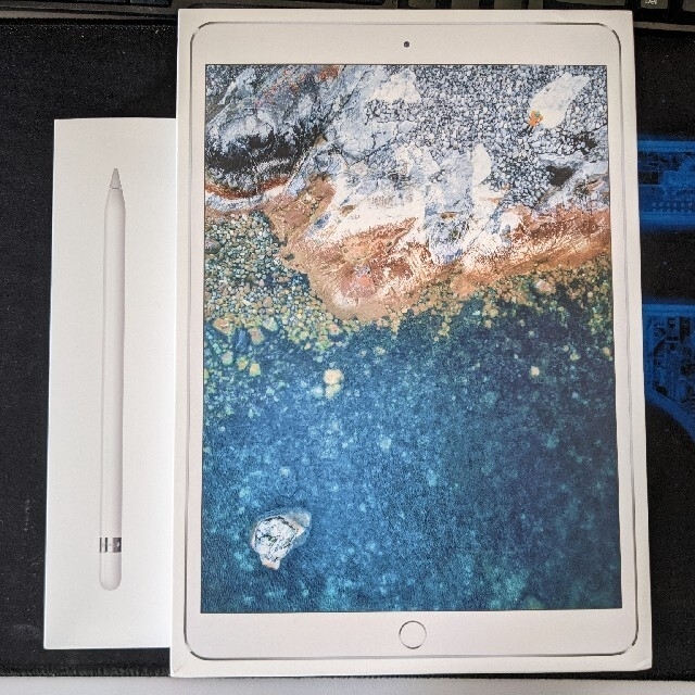 Apple(ちゃっぷりん専用)iPad Pro 10.5 256GB Pencil付