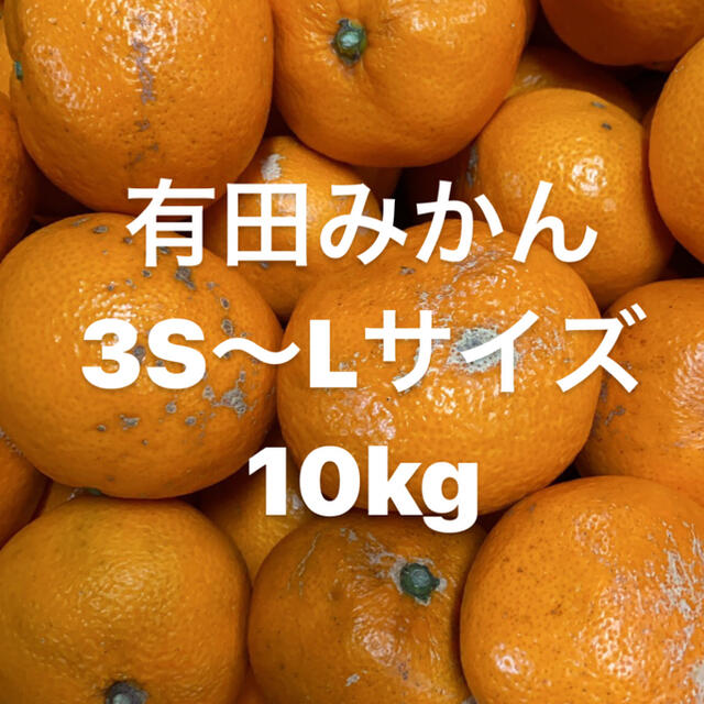 中生みかん訳あり　3S〜Lサイズミックス　10kg入り‼️ 食品/飲料/酒の食品(フルーツ)の商品写真