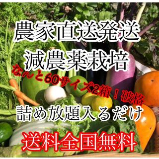 冬野菜詰め合わせ破格60サイズ2箱‼️ダンボール入るだけ(野菜)