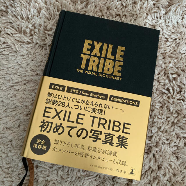 EXILE TRIBE(エグザイル トライブ)のＥＸＩＬＥ　ＴＲＩＢＥ　ＴＨＥ　ＶＩＳＵＡＬ　ＤＩＣＴＩＯＮＡＲＹ エンタメ/ホビーの本(アート/エンタメ)の商品写真