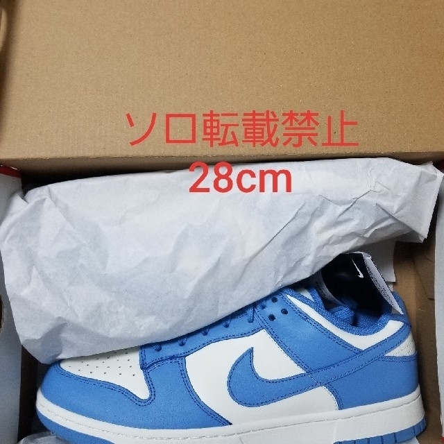 NIKE DUNK LOW "COAST" ダンクロー ナイキ 28cm