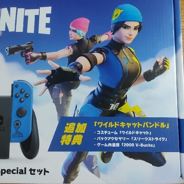 フォートナイト 【特典コードのみ】 ワイルドキャットバンドル フォートナイト 【特典コードのみ】 ワイルドキャットバンドル