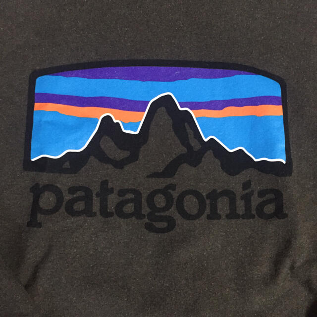 patagonia(パタゴニア)の未使用！PATAGONIA Men's サイズS  ロゴ フーディ茶 メンズのトップス(パーカー)の商品写真