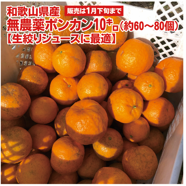 yukidaruma様専用。無農薬ポンカン10㌔（サイズ色々） 食品/飲料/酒の食品(フルーツ)の商品写真