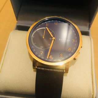 スカーゲン(SKAGEN)のSKAGEN メンズ腕時計(SKT110)(腕時計(アナログ))