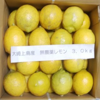 広島県大崎上島無農薬レモン　3kg(フルーツ)