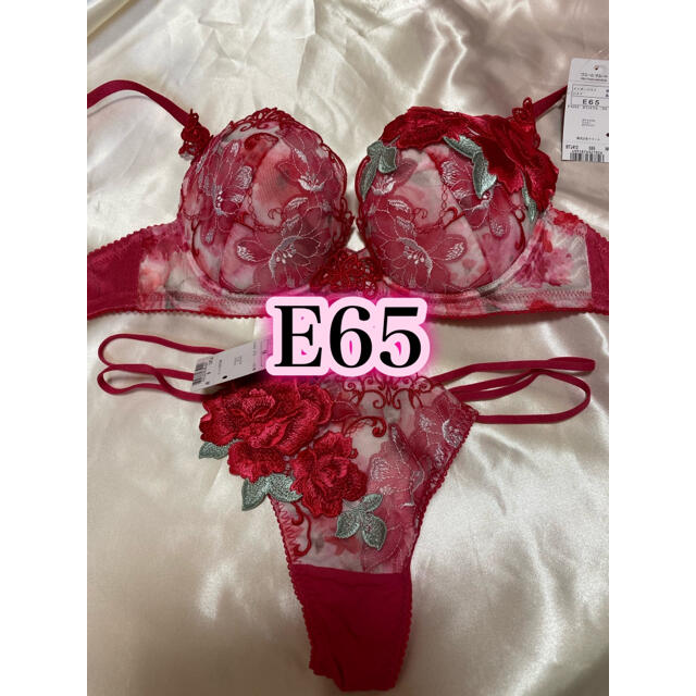 最安値】 新品 ワコール サルート 44G ブラジャー E65 ソングM