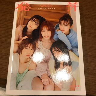 発芽 豆柴の大群１ｓｔ写真集(アート/エンタメ)