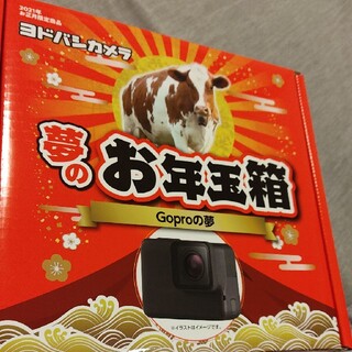GoPro - Gopro8 HERO black ヨドバシカメラ夢のお年玉箱 2021の通販 by