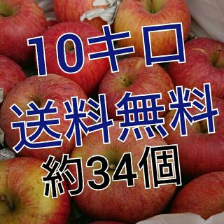 送料無料。会津産訳あり完熟リンゴ約34個。(フルーツ)