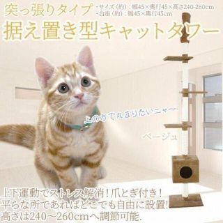 キャットタワー　突っ張り型　スリム(猫)