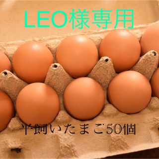  LEO様専用　平飼いたまご50個(野菜)