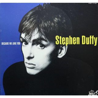 【廃盤LP】Stephen Duffy / Because We Love Yo(その他)