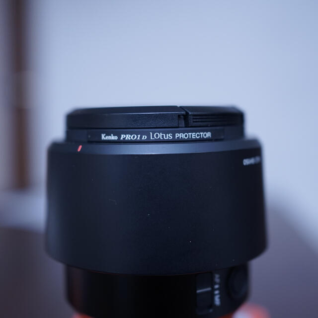 SONY sel85f18 85mm f1.8 - 3
