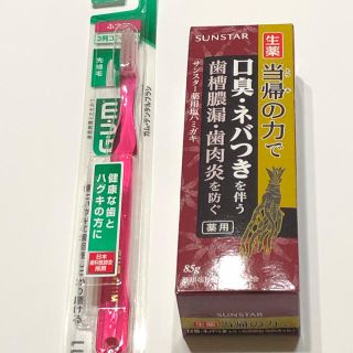 サンスター(SUNSTAR)のサンスター　生葉　当帰の力　歯磨き粉＋歯ブラシ(歯ブラシ/歯みがき用品)