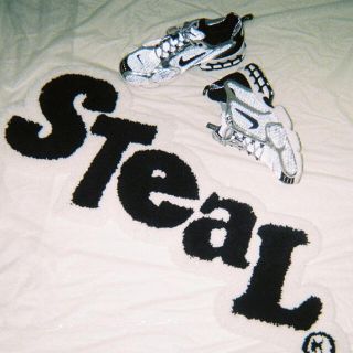 steal meaning ラグ　マット(ラグ)