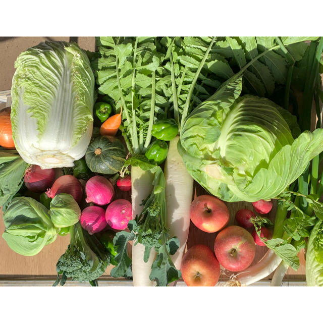 冬野菜と果物 食品/飲料/酒の食品(野菜)の商品写真