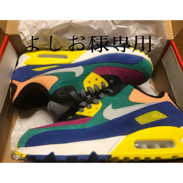 NIKE エアマックス90  バイオテック　28cm