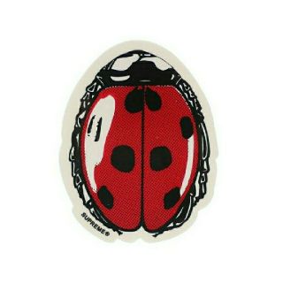 シュプリーム(Supreme)のSupreme Ladybug Sticker(その他)