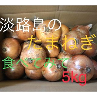 淡路島産 玉ねぎ　5kg (野菜)