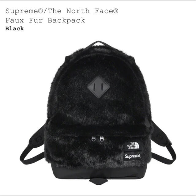 Supreme The North Face ノースフェイス　リュック